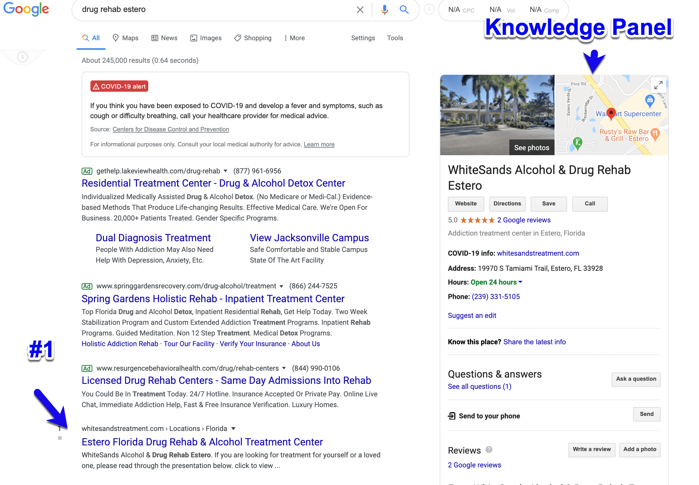 Bellevue Search Optimization